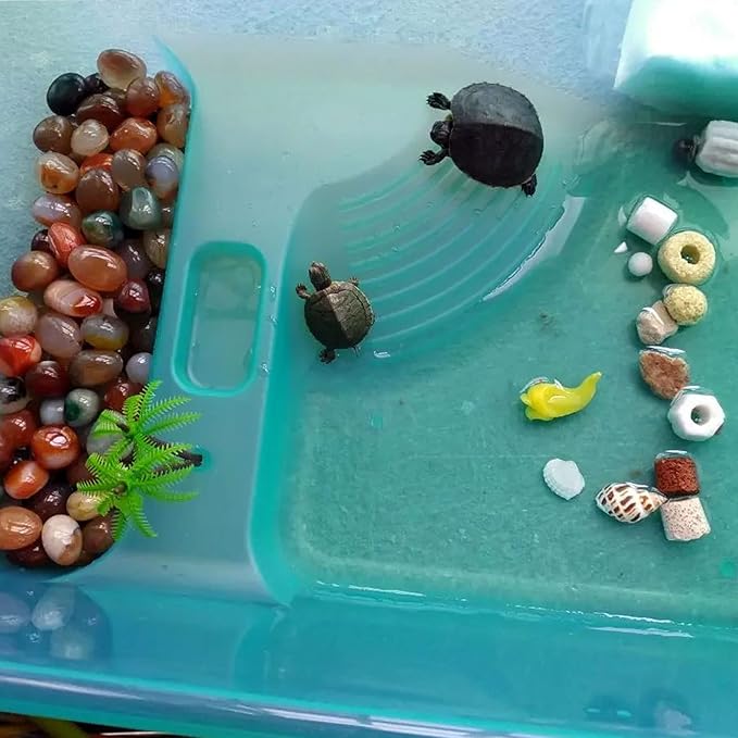 kathson Turtle Tank Aquarium, Turtle Habitat Reptile Plastic Terrarium Safe Durable, Tortoise Tank with Lid Prevent Climbing Escaping (Medium)