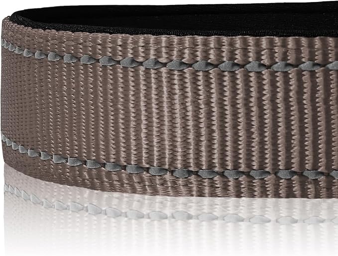 Joytale Reflective Dog Collar, Soft Neoprene Padded, Metal D-Ring, Nylon Pet Collar Adjustable for Puppy and Small Dogs, Brown, XSmall