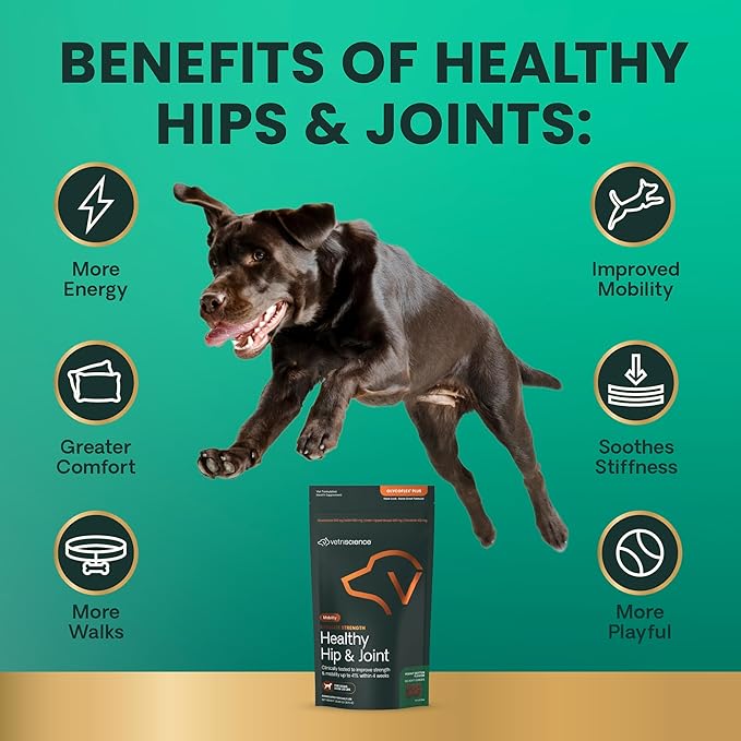 VetriScience Ultimate Strength Healthy Hip & Joint Chews, GlycoFlex Glucosamine, Chondroitin & Green Lipped Mussel Joint Support Supplement for Dogs, Soothe Joint Discomfort, Peanut Butter, 120 Ct