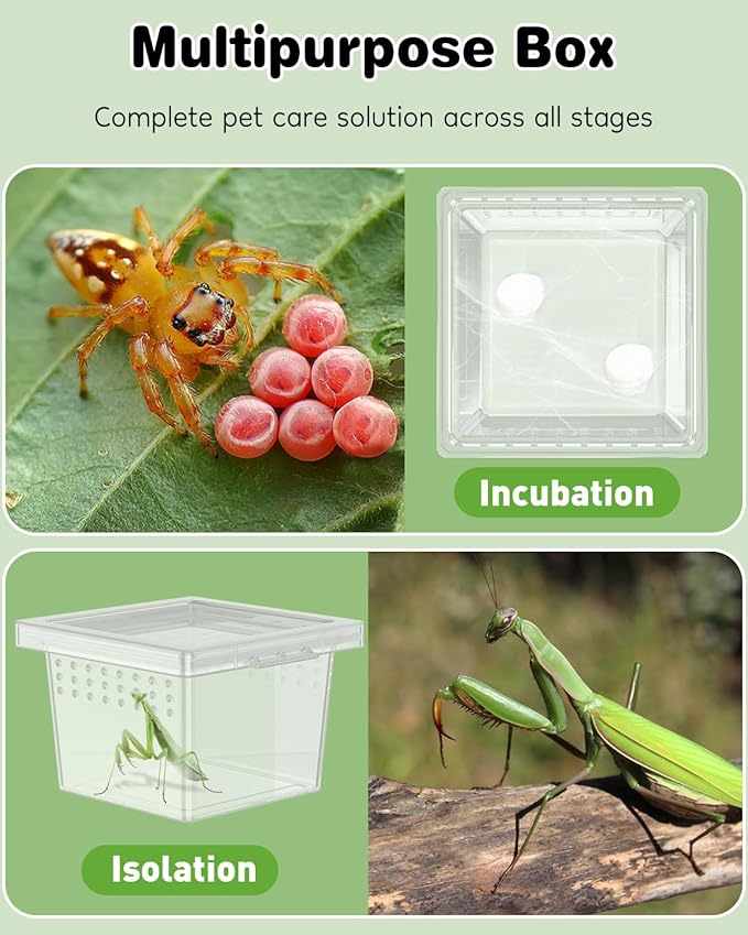 Pawfly 20 Pcs Mini Spider Terrarium Breeding Box, Transparent Plastic Jumping Spider Enclosure Cricket Keeper Tarantula Enclosure, Small Reptile Hatching Container for Scorpion Centipede Gecko Mantis