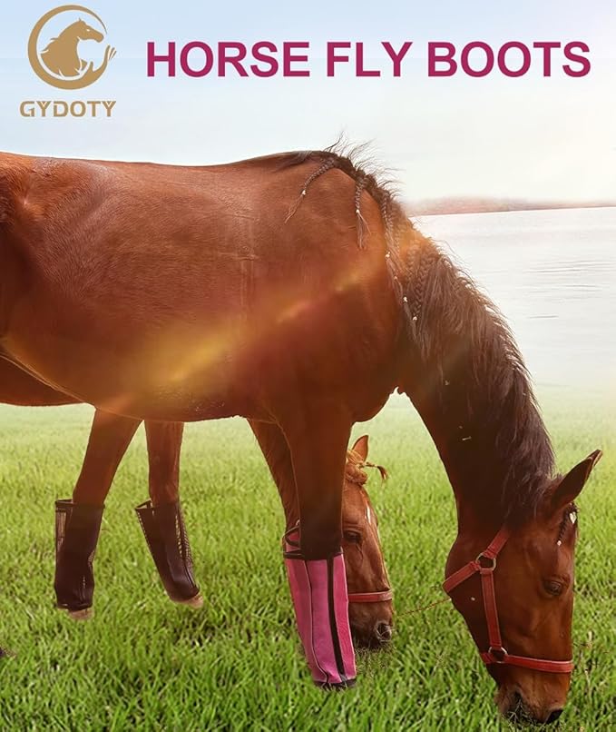 Horse Fly Boots Set of 4 - Upgrade Mesh Horse Leggins with Leather Frame, Leg Fly Protection (Medium, Pink)