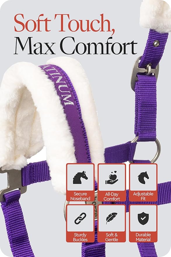 HORZE Howard Soft Fleece Padded Adjustable Polyester Horse Halter - Purple - Cob