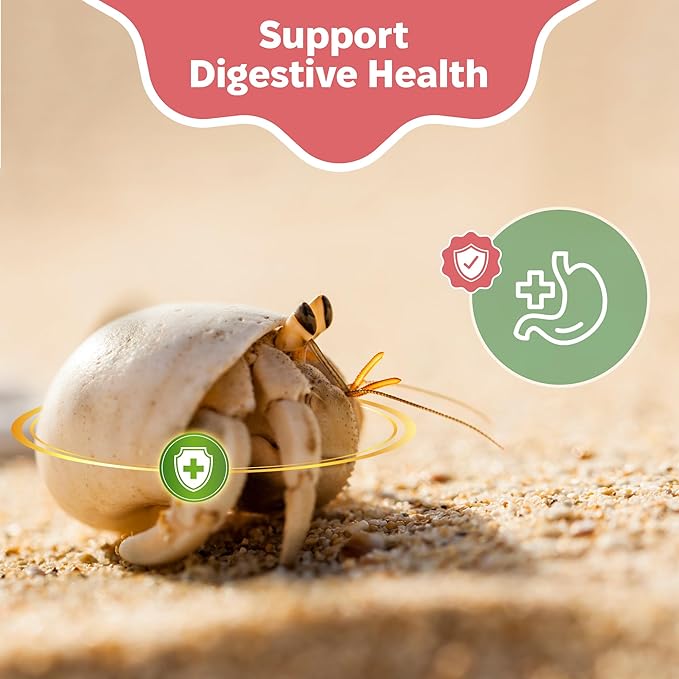 Oyster Shell Supplement for Hermit Crabs – Natural Calcium Source for Molting Support – Auto Feeder Compatible – USA-Sourced Crushed Shell Powder for Stronger Exoskeletons and Shell Health