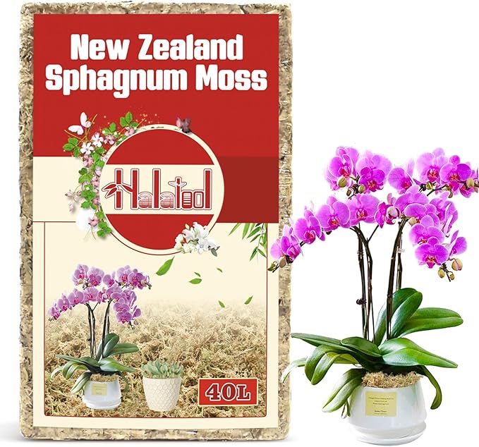 Halatool Premium New Zealand Sphagnum Moss, 500g(40L When Hydrated), for Orchid Repotting Succulent Sarracenia Potted Plants Gardening & Reptiles