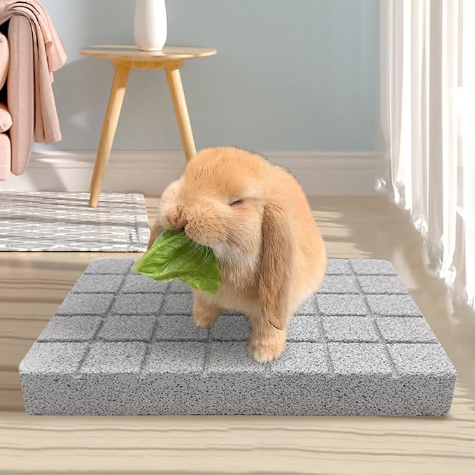Hamiledyi Rabbit Scratch Foot Pads - 4 PCS Natural Small Animal Lava Stone Teeth Grinding & Scratching Pad for Rabbit, Guinea Pig, Rat, Gerbil, Chinchilla, Hedgehog