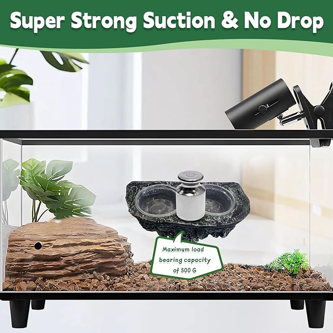 PINVNBY Reptile Feeding Ledge Double Reptile Water Bowl and Food Dish Crested Gecko Feeding Ledge with Suction Cup for Bearded Dragon Lizard Chameleon Snake and Other Reptiles