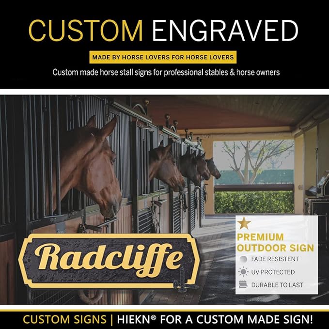 Acrylic Horse Stall Name Plate, 2.4" x 8" Personalized Stall Signs, UV Protected, Custom Pet Name Sign, All Weather Adhesive, Mounting (Gold, Style 1)