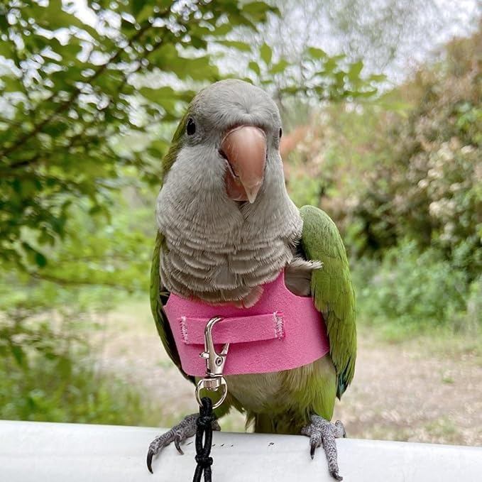 Bird Flight Harness Vest, Parrot Flight Suit with Leash for Parakeets Cockatiels Conures Budgies, Bird Flying Clothes with Rope and Handle for Outdoor Activities Training (L, Pink)
