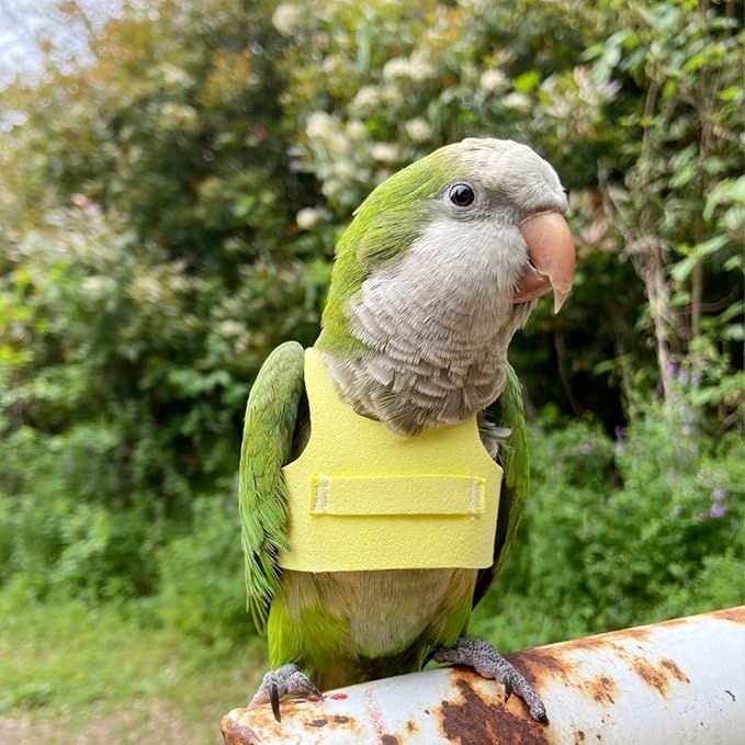 Bird Flight Harness Vest, Parrot Flight Suit with Leash for Parakeets Cockatiels Conures Budgies, Bird Flying Clothes with Rope and Handle for Outdoor Activities Training (S, Yellow)
