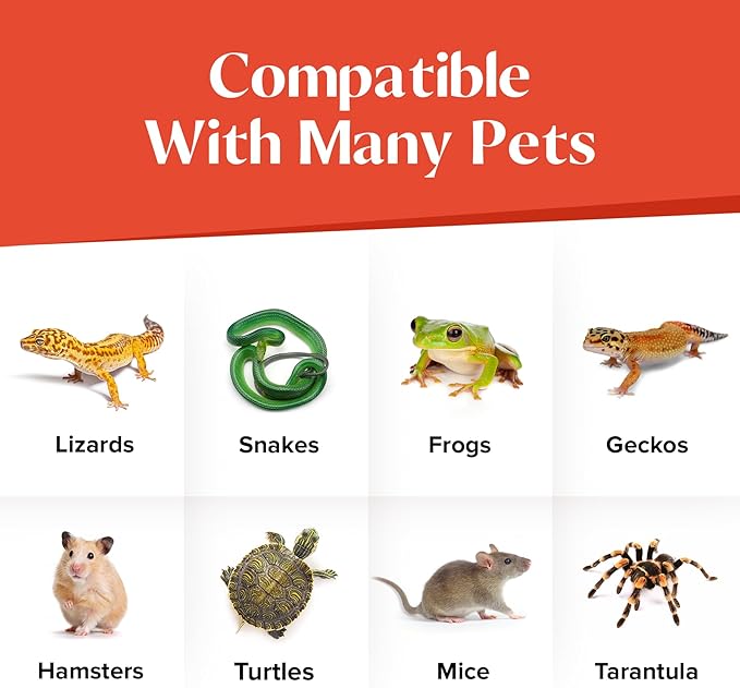Corner Reptile Cave - Natural-Look Hide for Lizards, Snakes, Bearded Dragons, Turtles, and Tortoises - Durable Habitat Decor