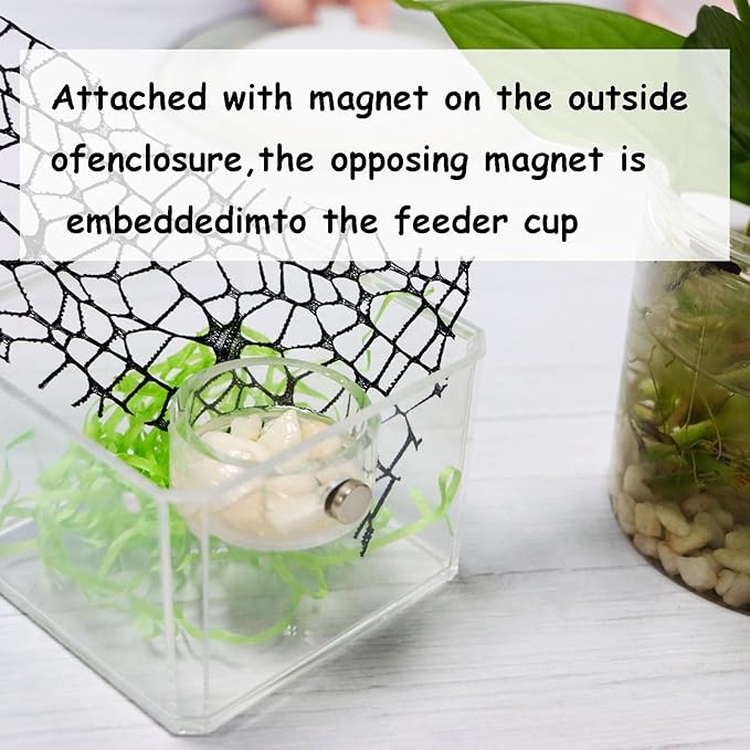 Jumping Spider Feeding Dish, Magnetic Tiny Food Dishes Water Dish for Jumping Spider, Tarantula and Other Small Pets,Transparent