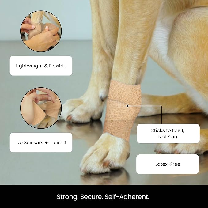Juvale Cohesive Self-Adherent Bandage Wrap - Elastic Support for Sprains & Sports Tape - Vet Wrap for Horses & Dogs - Hand-Tearable Design & Grip Tape - 24 Rolls, 3 in x 5 yd, Multicolor
