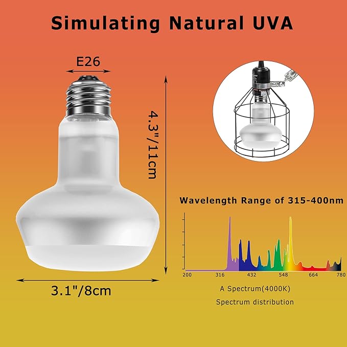 75W Intense Basking Spot Lamp – UVA Daylight Heat Bulb for Reptiles, Simulates Natural Sunrise and Sunset, Enhances Natural Behavior, Suitable for Bearded Dragons, Turtles, Geckos | 2 Pack