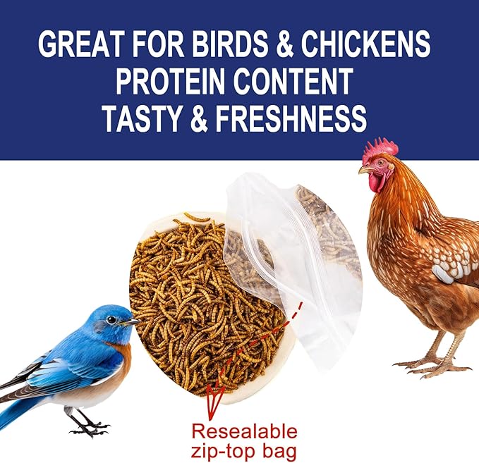 RANZ 10LBS Non-GMO Dried Mealworms for Chickens, High Protein Meal Worms, Premium Chicken Feed, Perfect Bird Food and Chicken Treats, Whole Large Mealworms for Wild Birds, Ducks, Fish