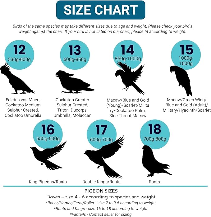 Bev's Bird Boutique Regular Flyper Adjustable Bird Diaper | Reusable, Washable Cloth | Comfort Fit for Parrot, Cockatiels, & Other Small Birds | Fashionable Avian Accessories, Tuxedo, Size 7.5