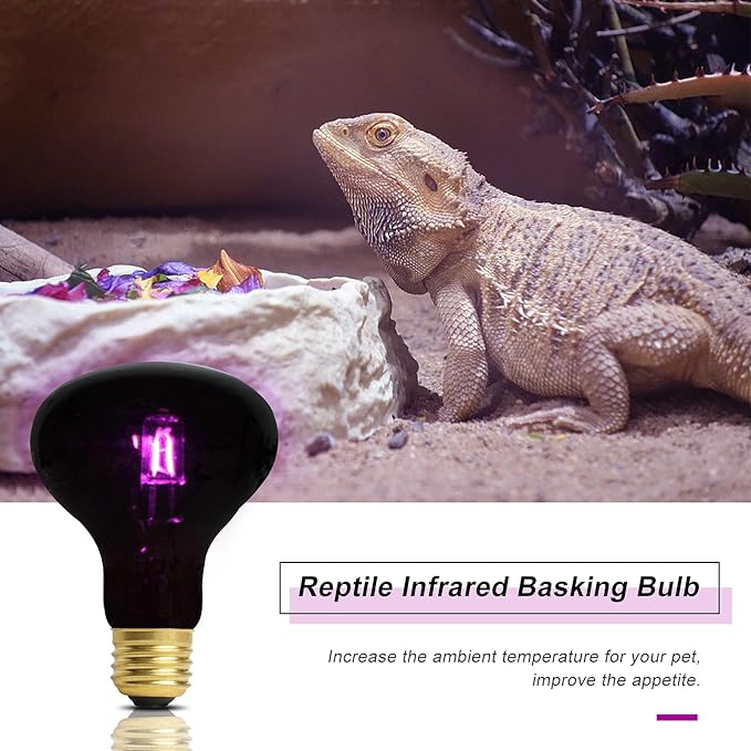 WUHOSTAM 2 Pack 75W Reptile UVA Infrared Moonlight Night Heat Lamp,Basking Spot Bulb Black Glass Cover for Lizard, Chameleon, Snake, Aquarium Reptile, Amphibian