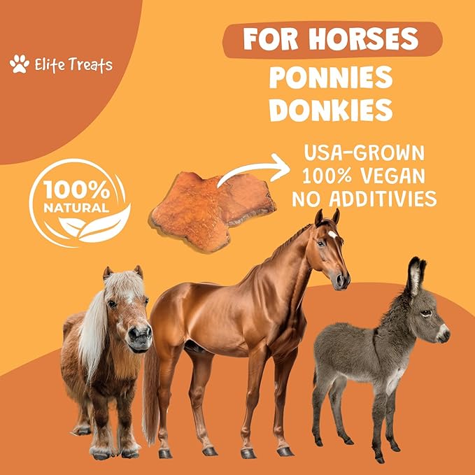 Horse Treats - Sweet Potato 16 oz. | All Natural, Dehydrated Treat with No Additives or Preservatives | Made in The USA | for Horses, Ponies, Donkeys | Training Treats 16 oz