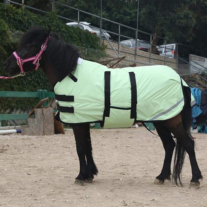 Foal/Mini Horse Size 30"-48" Waterproof & Breathable 300 Denier Winter Turnout Blanket with 150g Polyfill Grassgreen Large