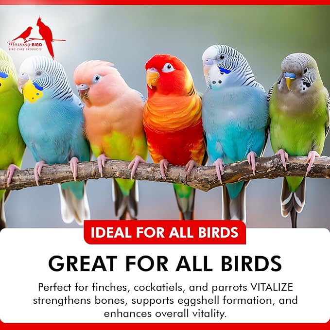 Morning Bird Vitalize for Birds 1 Oz – Stress Relief & Dehydration Supplement – Supports Hydration, Energy, Balance & Muscle Recovery – Easy Water-Soluble Supplement for All Bird Species.