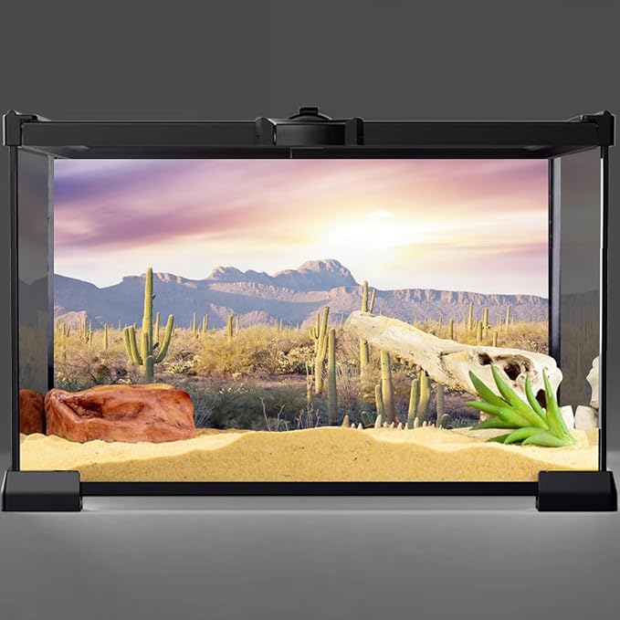 AWERT Reptile Habitat Background Blue Sky Oasis Mountain Cactus Sun and Desert Terrarium Background 60x24 inches