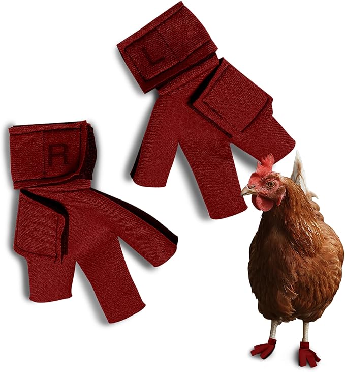 Chicken Shoes for Injured Feet – Protective Neoprene Footwear for Chicken, Open-Toe Design for Bumblefoot Relief, Made in USA - Large, 4" Max. Inside Width, Red