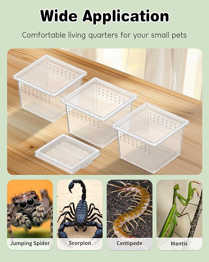 Pawfly 10 Pcs Mini Spider Terrarium Breeding Box, Transparent Plastic Jumping Spider Enclosure Cricket Keeper Tarantula Enclosure, Small Reptile Hatching Container for Scorpion Centipede Gecko Mantis