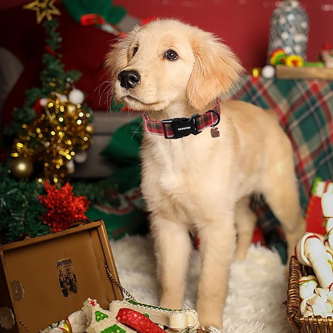 DOGWONG Christmas Plaid Dog Collar, Cute Adjustable Red Collar for Boy and Girl Dogs, Dog Collar with Strong Plastic Buckle for Small Medium Large Dogs,S