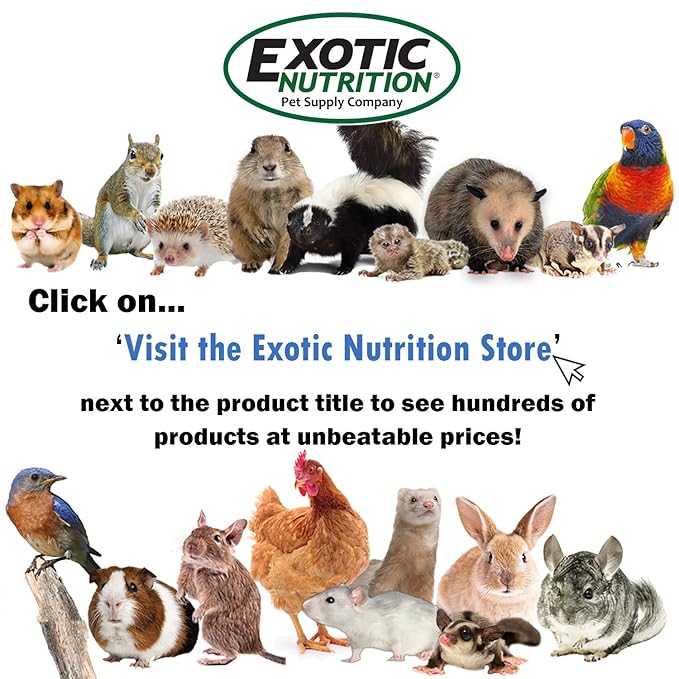 Exotic Nutrition Sugar Glider HPW Diet Jar - High Protein Healthy Natural No Mess Food for Sugar Gliders - High Protein Wombaroo Diet (Original)