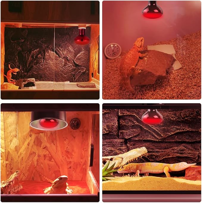 LUCKY HERP Infrared Heat Lamp 50W 2 Pack，Reptile & Amphibian Basking Spot Light Bulbs, Red Heat Lamp Bulbs for Reptiles, Bearded Dragon, Turtle, Lizard, Snake, Chicken