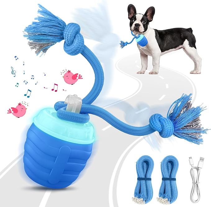 Interactive Dog Toys - 2026 Upgraded Motion Activated Balls for Medium/Large Dogs, Automatic Moving Dogs Toy Wicked Ball for Boredom, Interactive Dog Ball to Keep Them Busy(Blue)