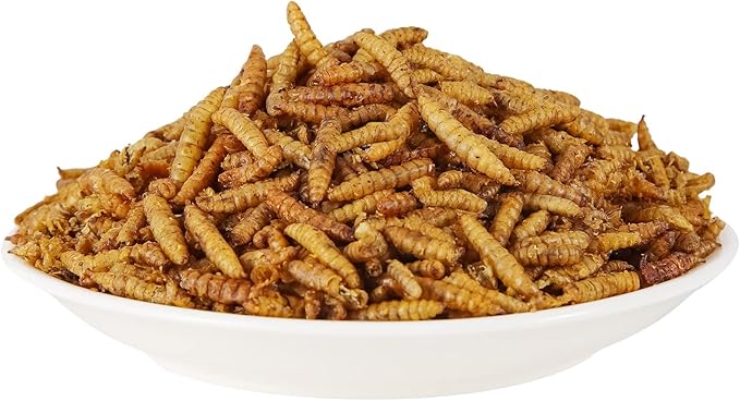 Dried Black Solidier Fly Larvae 11LBS, 85X More Calcium Than Mealworms High-Protein BSF Larvae Chicken Treats Non-GMO BSFL for Chickens, Hens, Ducks, Wild Birds