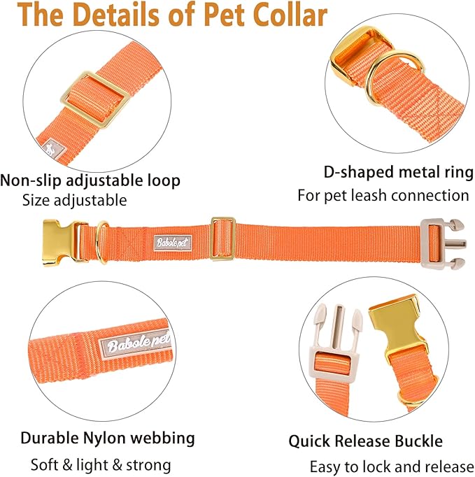 Nylon Dog Collar - Adjustable Orange Soft Webbing Dog Collars for Small Medium Large Dogs Boy Girl Puppy Collar with Safety Metal Buckle L