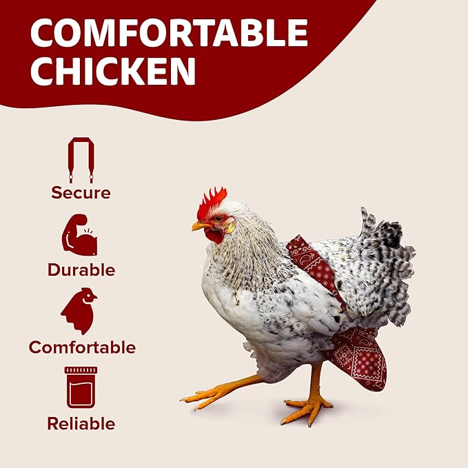 Hen Holster Bikini Diaper, Bird Diaper & Harness for Hens, Roosters, Ducks - with Removable Vinyl Liner, Adjustable Fit for Outdoor Adventures & Indoor Use - Easy to wear - S/M, Red Bandana