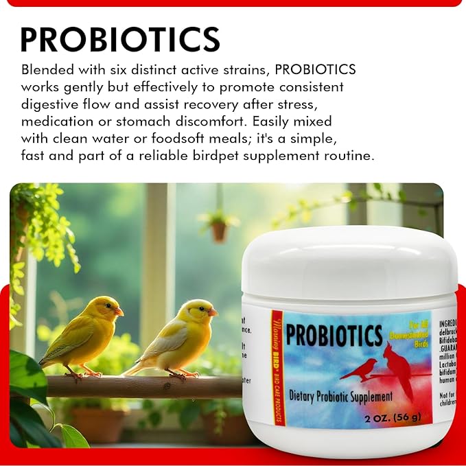 Morning Bird Probiotics for Birds 4.5 oz – Digestive Health Supplement Supporting Gut Balance, Nutrient Absorption & Immune Support – Easy Mix Powder Supplement for All Bird Species