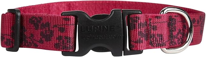 LupinePet 20252 Originals 1" Plum Blossom 12-20" Adjustable Collar for Medium and Larger Dogs