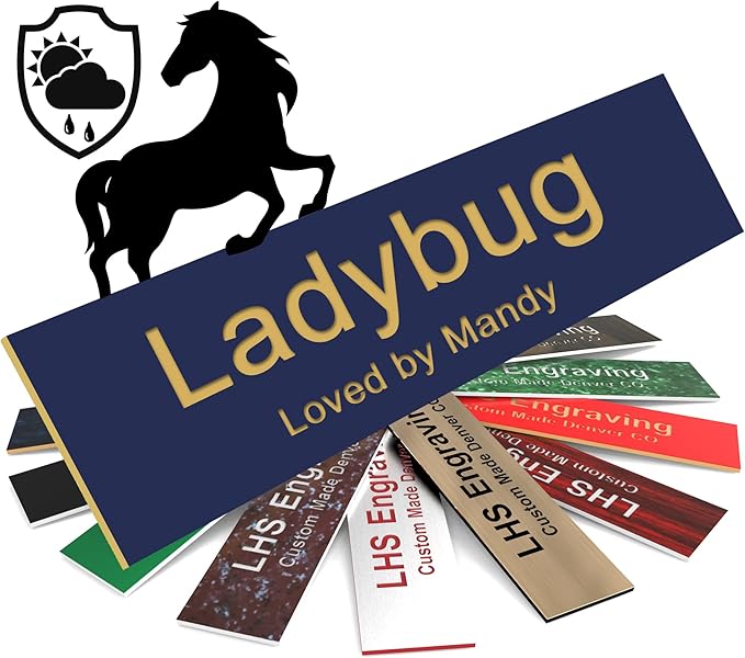 Personalized Horse Stall Name Plates, 2x12 Horse Stall Signs with Adhesive, All Weather UV Protected, Navy Blue Plastic with Gold Letters - Made in USA - B10
