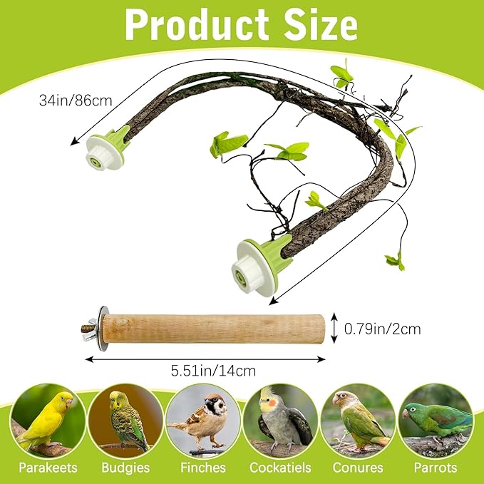 PINVNBY 2 PCS Bendable Bird Perches Simulation Branch Parrot Perch Stand with Green Leaf Hanging Paw Grinding Fork Cage Accessories for Parakeet Budgie Finch Cockatiel Conure (Large)