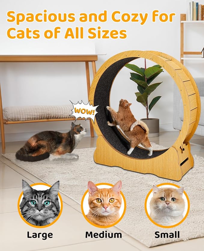Outvita Cat Exercise Wheel for Quiet Running Indoor Use, 39.4" Cat Treadmill with Detachable Carpet, Cats Exerciser Helps Cats to Lose Weight and Keep Health, Easy to Install (Natural Wood)