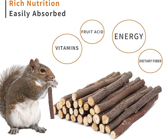 700g Apple Sticks Molar Wood Treats, Rabbit Toys Chinchilla Guinea Pig Bunny Toys Wood Chews Sticks for Teeth Rabbit Food Guinea Pig Hamster Gerbil Chews Small Animals Snacks(200 Pcs)