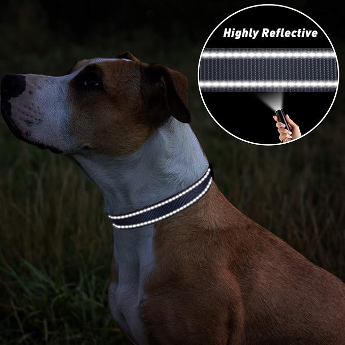 TagME Reflective Nylon Dog Collars, Adjustable Classic Pet Collar with Quick Release Buckle for Medium Dogs, Grey, 1.0" Width
