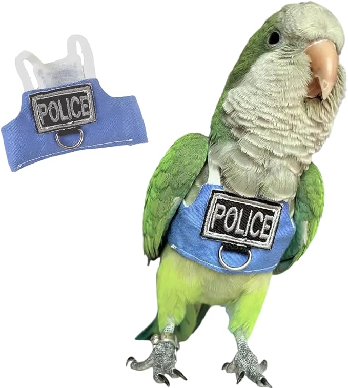 Bird Flight Harness Vest, Parrot Flight Suit with Leash, Bird Flying Clothes with Rope and Handle for Outdoor Activities (Without Leash,Lorikeet)