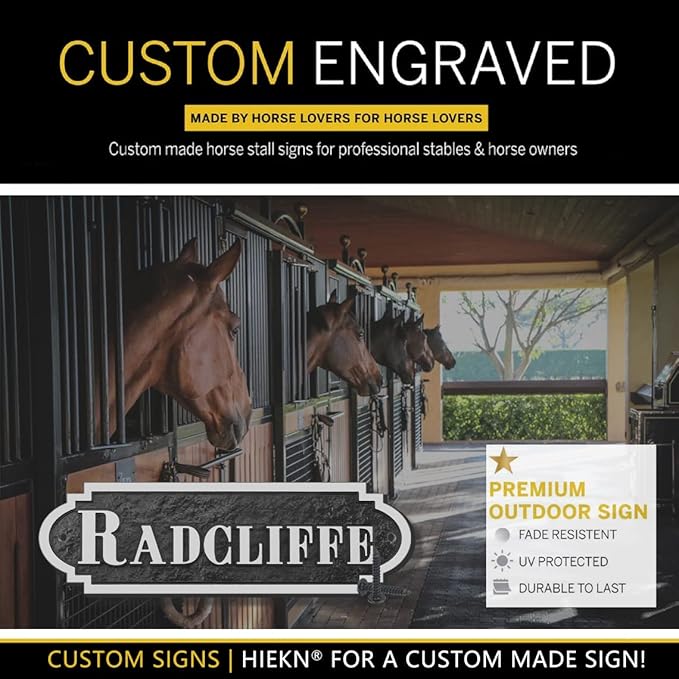Acrylic Horse Stall Name Plate, 2.4" x 8" Personalized Stall Signs, UV Protected, Custom Pet Name Sign, All Weather Adhesive, Mounting (Silver, Style 6)