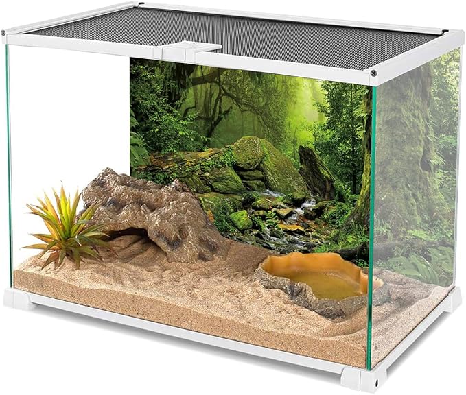 AWERT Tropical Forest Terrarium Background Stream Green Huge Tree Reptile Habitat Background Foggy Rainforest Aquarium Background 72x24 inches Durable Polyester Background