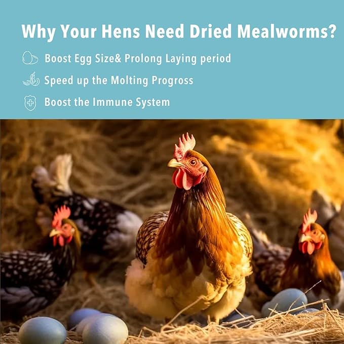 5lb Dried Mealworms for Chickens Treats for Laying hens,Bluebirds,Quail,Chicken Food