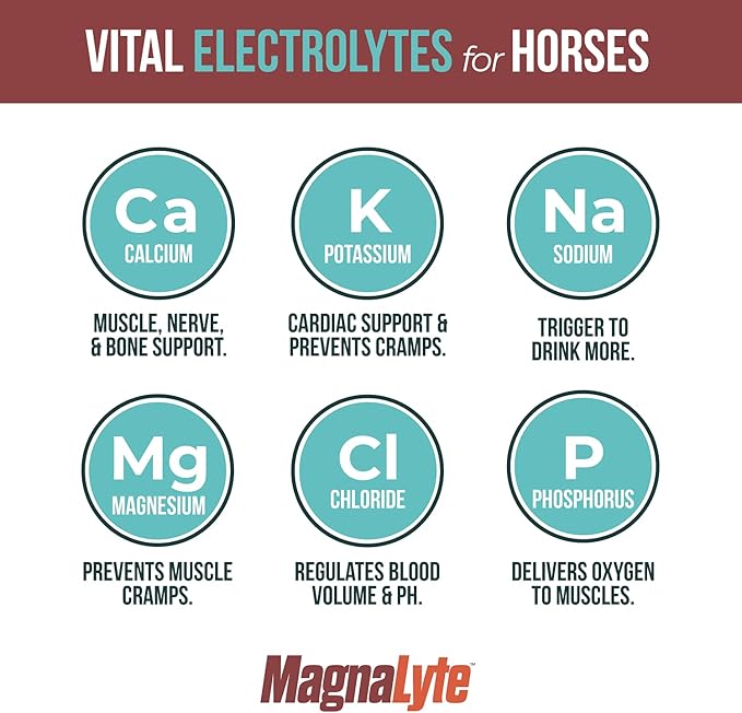 MagnaLyte Loose Salt and Electrolytes for Horses by Eagle Equine | Mineral sea Salt, Trace Minerals, Electrolytes | 4 lb Bag