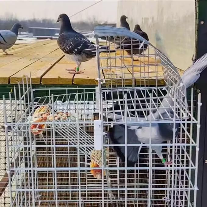 Pigeon Cage, Household Automatic Sky Falling Bird Container Rotating Flip Board Outdoor, Breeding Farm Specific Pigeon Coop,Pigeon Trap with Escape.