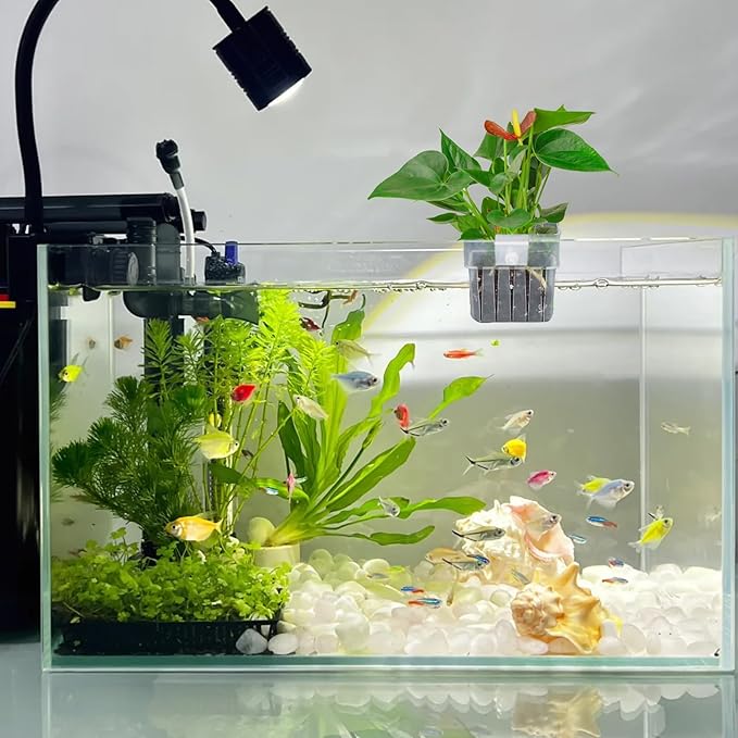 2PCS Aquarium Plant Holder with Hooks Top Clear Acrylic Fish Tank Plant Holder Cup Pots for Fish Tank Aquaponic Plant and Aquascape Decorations