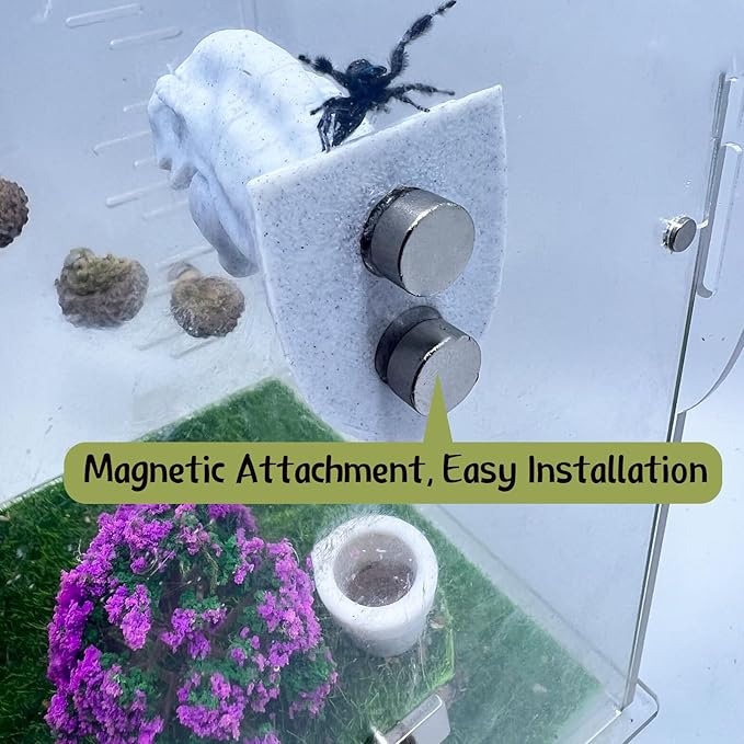 Jumping Spider Hide,3D Printed Dinosaur Head - A Fun Habitat for Jumping Spiders, Small Reptiles, and Small Pets, Suitable for Home Decor with Animal Enclosures (Marble Color)