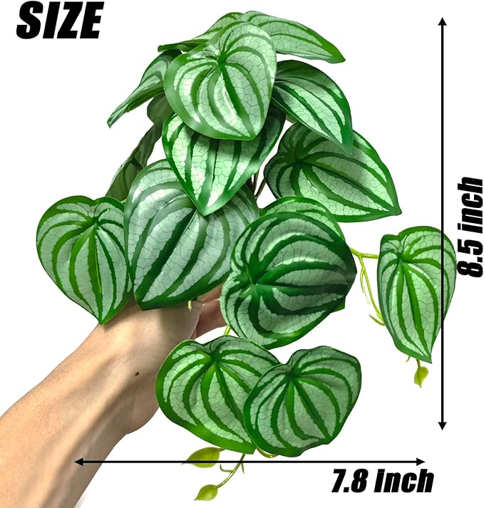 Woyrise 2 Pack Reptile Plants, Terrarium Hanging Plant Vines, Artificial Leaves with Suction Cup, Bearded Dragon Tank Accessories for Gecko Lizard Snake Frog Tortoise Decorations - Calathea Orbifolia