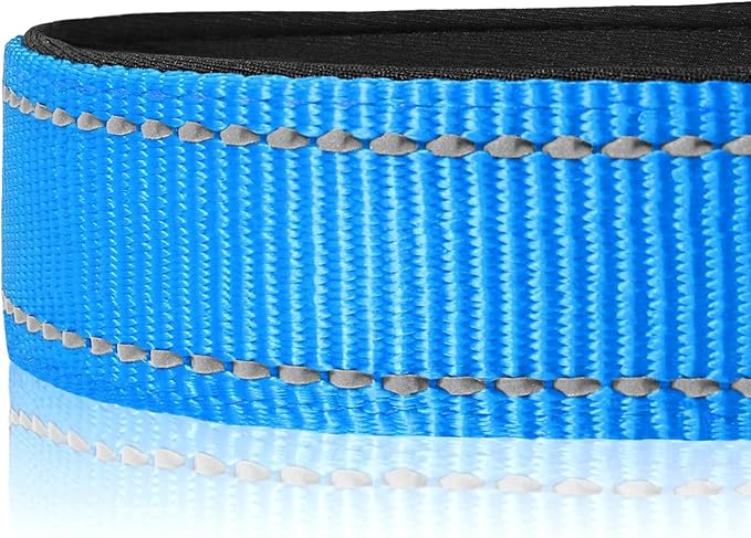 Joytale Reflective Dog Collar, Soft Neoprene Padded, Metal D-Ring, Nylon Pet Collar Adjustable for Small Dogs, Sky Blue, S